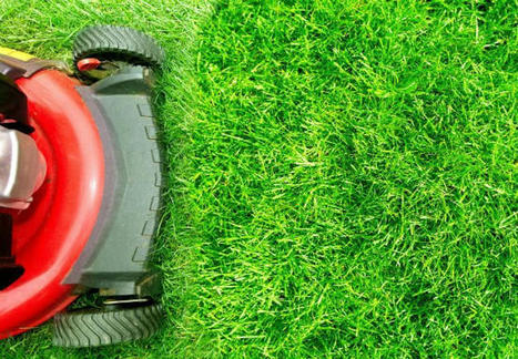 When to Fertilize Your Lawn (and How to Avoid Causing Damage) | Best Property Value Scoops | Scoop.it