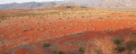 Le mystère des cercles de fées de Namibie enfin résolu ? (vidéo) | Les déserts dans le monde | Scoop.it