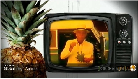 [vidéo] L’ananas sème misère et pollution | Global Mag, le blog | Toxique, soyons vigilant ! | Scoop.it