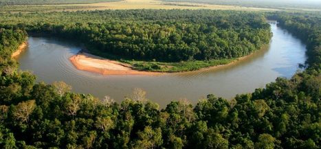 A diversity of Daly River flows sustains diverse freshwater fish | Stage 5 Environmental Change: Riverine Environments | Scoop.it