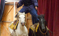La magie de Noël au Haras National du Lion d’Angers | Salon du Cheval | Scoop.it