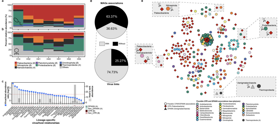 Hidden viral players: Diversity and ecological ...