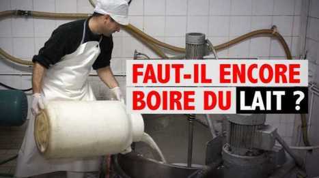 VIDEO. "Le lait UHT n'a aucun apport nutritionnel. Seul le lait cru est bon !" | Lait de Normandie... et d'ailleurs | Scoop.it