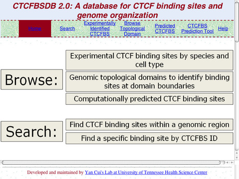 CTCFBSDB 2.0: a Database for CTCF-binding sites and genome organization | bioinformatics-databases | Scoop.it