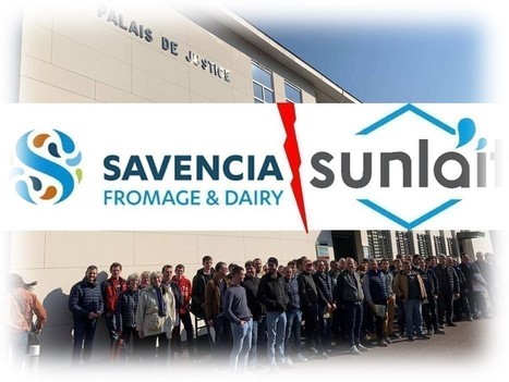 Les producteurs de lait élargissent leur clientèle pour faire front face à Savencia | Lait de Normandie... et d'ailleurs | Scoop.it