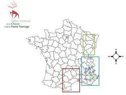 Situation loup sur le territoire fran&ccedil;ais - ONCFS | Biodiversit&eacute; | Scoop.it