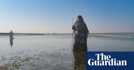‘We’re the bad gang’: Bedouin FISHERWOMEN swim against a male tide | CIHEAM Press Review | Scoop.it