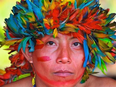 Data Collection By Indigenous People | RAINFOREST EXPLORER | Scoop.it