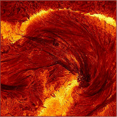 This Stunning Image of the Sun Could Unlock Mysterious Physics, Ankylosaurs: Swole from the start, Now you sea(horse) me & More | by Becky Ferreira | 404Media.co | Schools + Libraries + Museums + STEAM + Digital Media Literacy + Cyber Arts + Connected to Fiber Networks | Scoop.it