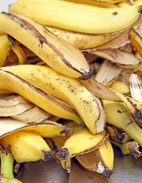 Elif Bilgin, 16 ans, innove à partir de peaux de banane | Les nouvelles cultures de l'alimentaire | Scoop.it