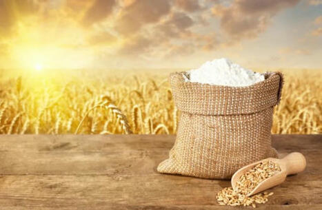 Sharp decline in Türkiye’s flour exports in first half of 2025 | Miller Magazine | MED-Amin network | Scoop.it