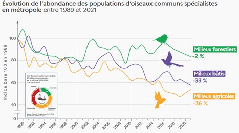 2013-2023 : 10 ans de déclin de la biodiversité en chiffres | Lait de Normandie... et d'ailleurs | Scoop.it