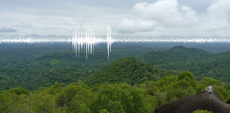 L&rsquo;&eacute;co-acoustique, &eacute;couter la&nbsp;nature pour&nbsp;mieux la&nbsp;pr&eacute;server | EntomoScience | Scoop.it