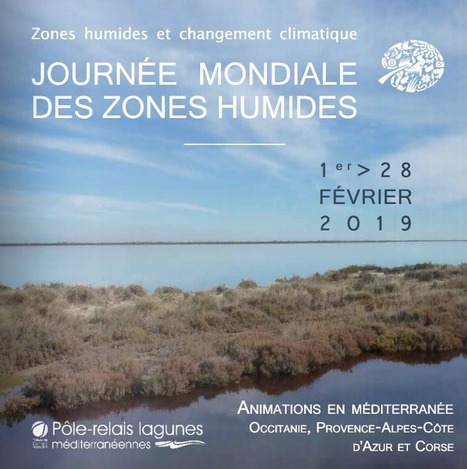 Journée mondiale des zones humides en Méditerranée 2019 | Variétés entomologiques | Scoop.it