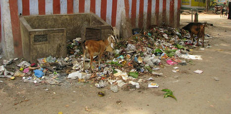 Gestion des déchets en Inde : les initiatives citoyennes peuvent-elles faire la différence ? | Participation citoyenne | Scoop.it