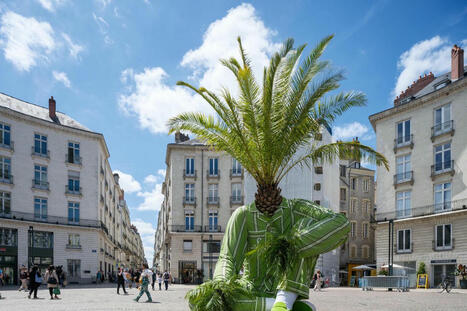 Exposition : un Voyage à Nantes entre racines et canopée | Les clefs du Van | Scoop.it