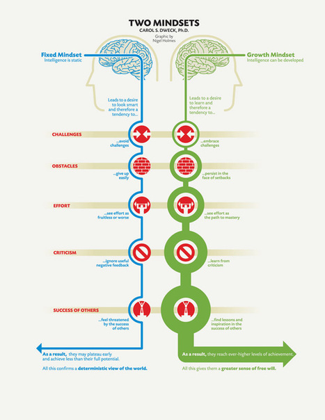 Carol Dweck: A Summary of The Two Mindsets | #HR #RRHH Making love and making personal #branding #leadership | Scoop.it