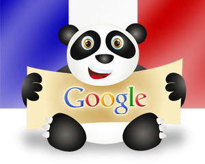 Google Panda Update in France &ndash; Winners and Losers | Google Penalty World | Scoop.it