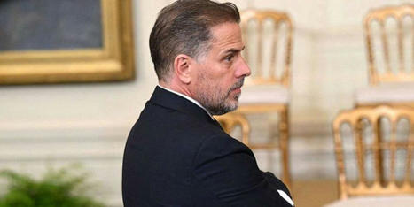 Whistleblower accusing IRS of slow-walking Hunter Biden probe is avoiding investigators: report - RawStory.com | Backstabber Watch | Scoop.it