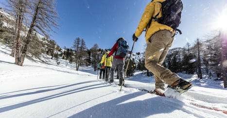Lenkungsmassnahmen in Biosfera Val Müstair zeigen Erfolg | Destination Management Issues | Scoop.it