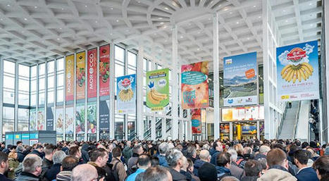 Fruit Logistica fournit son dernier manuel de statistiques européennes  – Agri Maroc | Pour innover en agriculture | Scoop.it