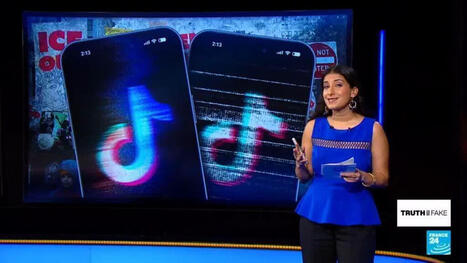 American Tiktok users claim app is censoring &lsquo;Epstein&rsquo; and ICE criticism - france24.com | Operation Phobos | Scoop.it