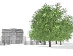 Virtual trees sway in wind just like the real thing | Science News | Scoop.it