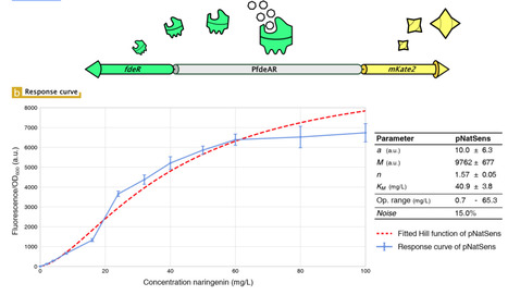 Modularisation and response curve engineering of a naringenin-responsive transcriptional biosensor | RMH | Scoop.it