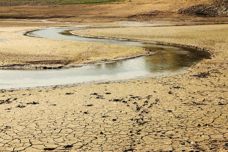 Comment sécheresse et canicule asphyxient nos rivières | RSE et Développement Durable | Scoop.it