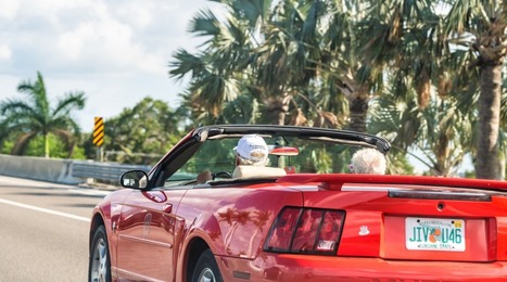 When Do Snowbirds Leave Florida? + More Tips for Snowbirds | Best  Pro-Age Boomers Scoops | Scoop.it