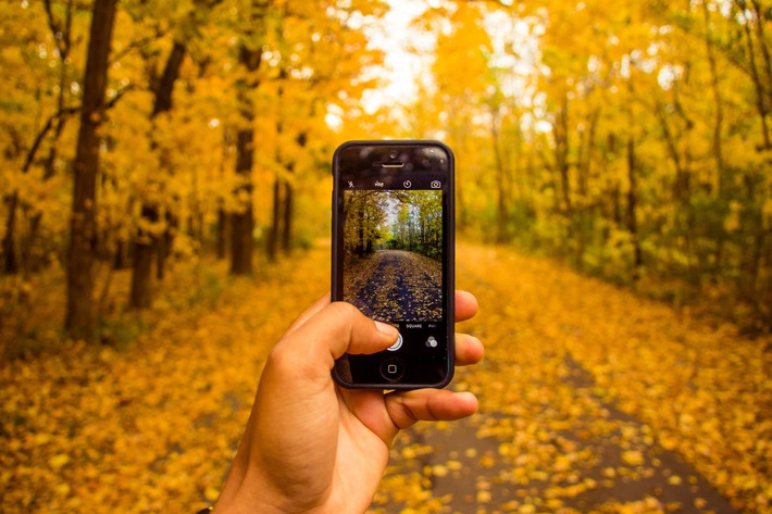 Les 3 fonctionnalités de Google Photos qui vous feront oublier Picasa - Tech - Numerama | TIC, TICE et IA mais... en français | Scoop.it