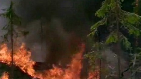 Metsäpalot muuttavat maisemaa | 1Uutiset - Lukemisen tähden | Scoop.it