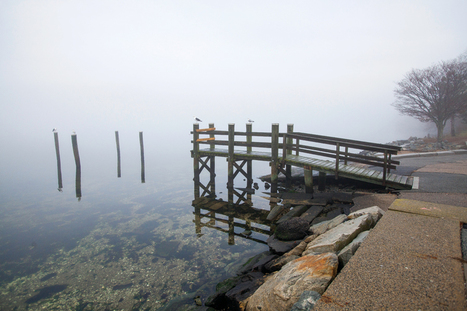 How Clean is Narragansett Bay? | Rhode Island Geography Education Alliance | Scoop.it