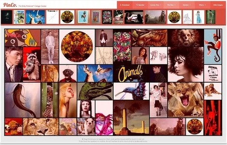 PinCo. Crear collages con tableros de Pinterest | Las TIC en el aula de ELE | Scoop.it