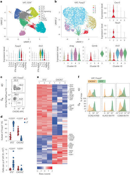 Two regulatory T cell populations in the visceral adipose tissue shape systemic metabolism | Nature Immunology | Immunology | Scoop.it