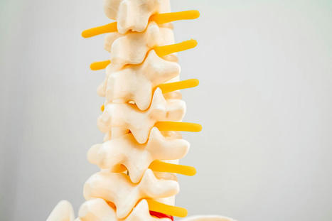 Intervertebral Foramen: The Gateway to Spine Health&nbsp;| Call: 915-850-0900 or 915-412-6677 | Spine Health & Spinal Hygiene | Scoop.it