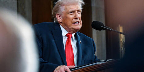 'Troubling': Trump's niece claims he's 'acting like a guilty man' in Epstein scandal - Raw Story | Operation Phobos | Scoop.it