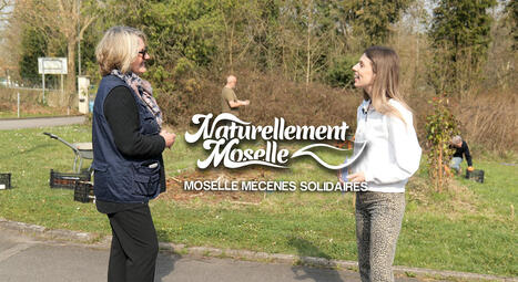 Naturellement Moselle : avec Moselle Mécènes Solidaires / Moselle TV | Veille locale des Bibliothèques-Médiathèques de Metz | Scoop.it