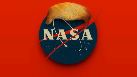 La menace Trump plane sur la Nasa : 50 missions scientifiques menacées de disparition ! | @ZeHub | Scoop.it