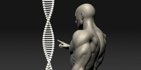 Researchers elucidate network of genes that control when puberty begins: Discovery may pave way for linking environmental factors to early-onset puberty in females | Genetics - GEG Tech top picks | Scoop.it