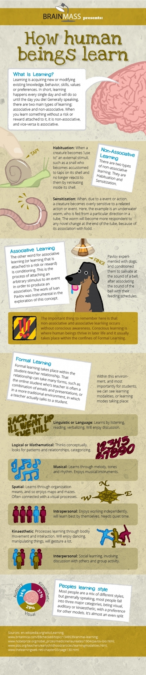 [Infografía] How human beings learn | Edumorfosis.it | Scoop.it