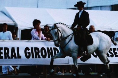 Les chevaux en spectacle:Libourne | Salon du Cheval | Scoop.it