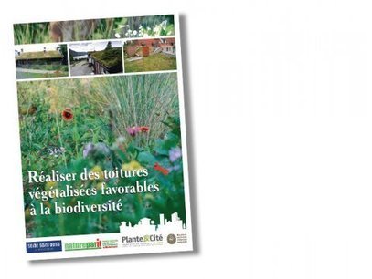 Les toitures végétalisées - Humaterra, nature et vie sauvage | ECOLOGIE - ENVIRONNEMENT | Scoop.it