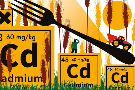 Cadmium&nbsp;: apr&egrave;s des ann&eacute;es d&rsquo;inaction, le gouvernement s&rsquo;engage &agrave; suivre les recommandations des autorit&eacute;s sanitaires | Revue de presse du Centre de doc | Scoop.it