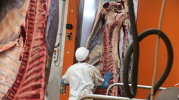 La filière viande traverse plutôt bien la crise sanitaire | La Gazette des abattoirs | Scoop.it