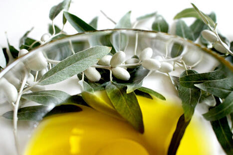 L'olio di oliva per controllare il peso | OLIVE NEWS | Scoop.it
