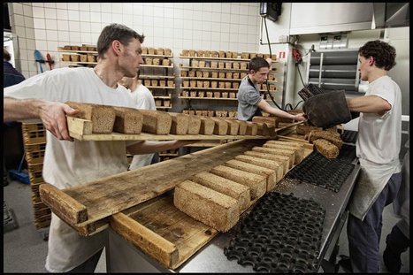 Belgische bakker neemt Italiaanse zuurdeegmaker over | La Gazzetta Di Lella - News From Italy - Italiaans Nieuws | Scoop.it