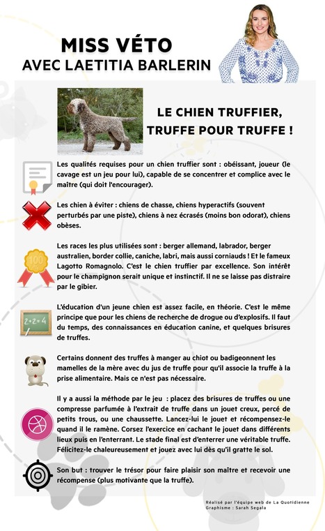 Video Chiens Truffiers Du Périgord Ch