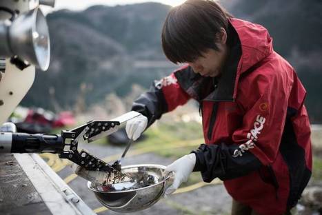 Greenpeace reports jump in radioactive contamination in Fukushima waterways  | Japan Tsunami | Scoop.it