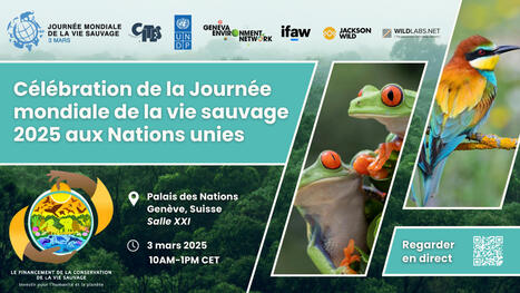 Journée mondiale de la vie sauvage | Biodiversité | Scoop.it